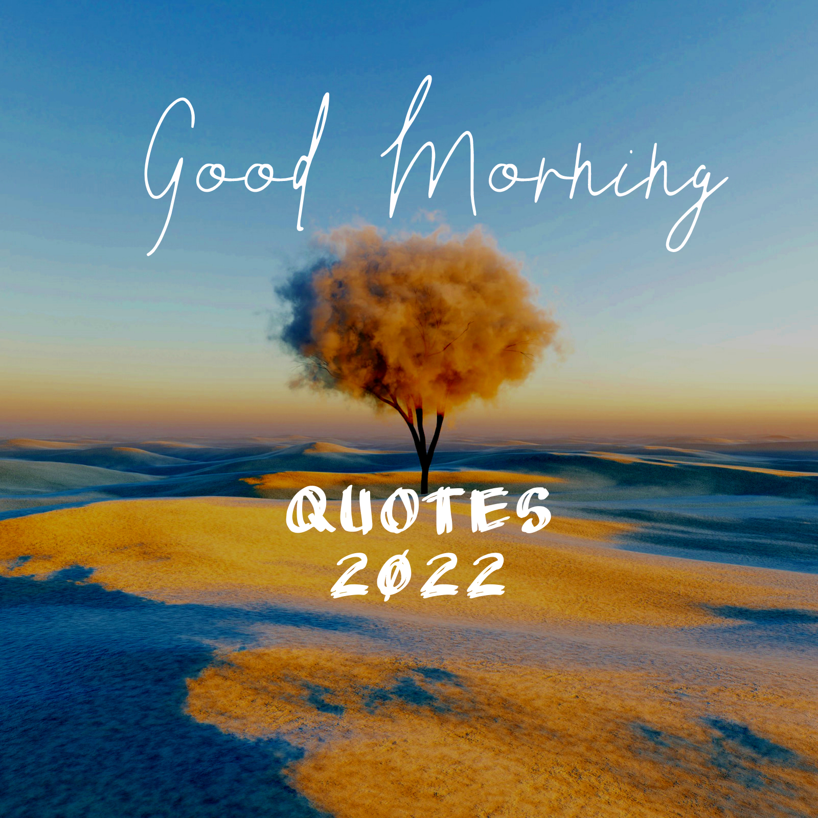 70 Good Morning Quotes in 2022